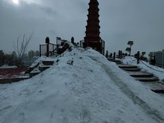 -特丰抓饭(莱茵庄园店)