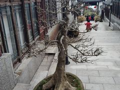 -缥缈峰景区