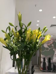 点击看大图 -Kraemer paris·苏豪路易士·嘉玛发廊