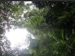-兰溪青年公园