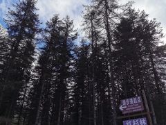 -硗碛藏寨·神木垒景区