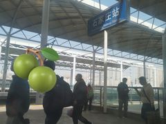-石家庄站