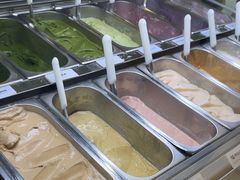 -鹤茶野所(上海首店)