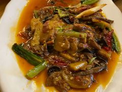 -陈麻婆豆腐总店