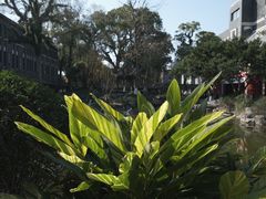 -墨池公园