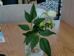 -gaga(深圳福田星河COCO Park店)