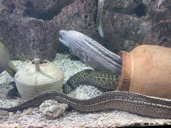 -福州罗源湾海洋世界旅游区