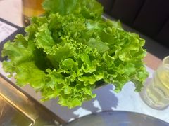 -杨记齐齐哈尔烤肉(总店)