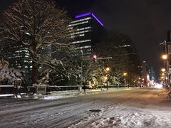 -北海道厅旧本厅舍(旧本庁舎)