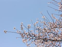 -西安外国语大学(长安校区)