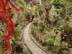 -呀路古热带植物园