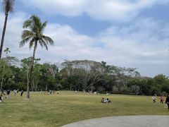 -中国科学院西双版纳热带植物园