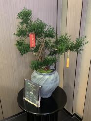 点击看大图 -半岛故事·法儿曼抗衰·indiba中心