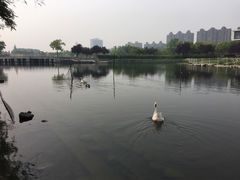 -同济大学(嘉定校区)