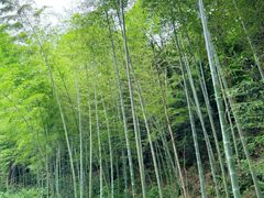 -黄公望隐居地