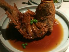 -韵秋荷(宝山龙湖天街店)