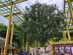 -西双版纳勐泐文化旅游区