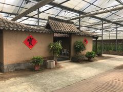 -上海都市菜园