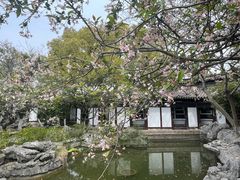 -常熟方塔园