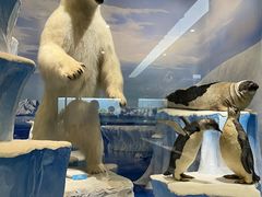 -国家自然博物馆