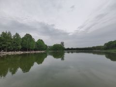 -大兴滨河森林公园