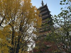 -常熟方塔园