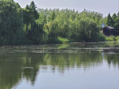 -溱湖国家湿地公园