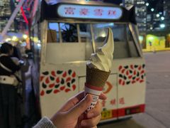 -富豪雪糕车流动点(尖沙咀店)
