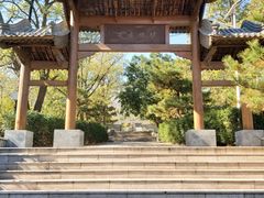 -阳台山自然风景区