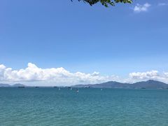 -七鲜渔港美食餐厅(巽寮湾海景店)