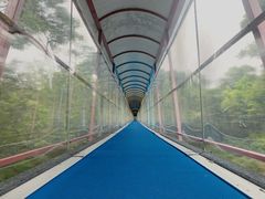 -七仙岭温泉国家森林公园