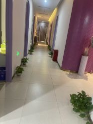 -孔雀手美甲美睫护理