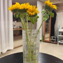 -珍贞佰俪·针清祛痘印敏感管理