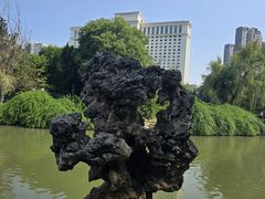 -西苑公园