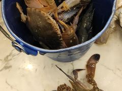 -澜悦港海鲜体验主题餐厅