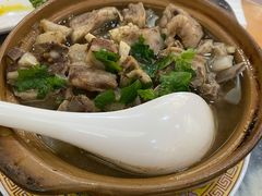 砂锅羊排萝卜-砂锅居(西四店)