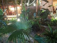 -二荆条·蜀鲜汇城市森林火锅