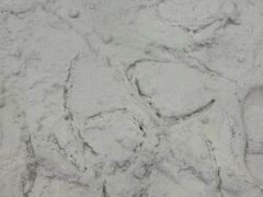 -广州热雪奇迹