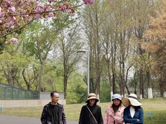 -九里河湿地公园