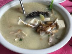 芫茜豆腐鱼头汤-苏记美食(张槎一路店)