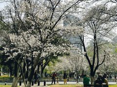 -西北湖绿化广场