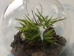 -悦宝园早教中心(庐阳区省直中心店)