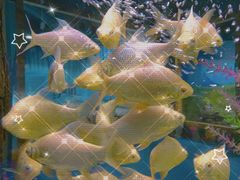 -顺德南宏海立方海洋公园