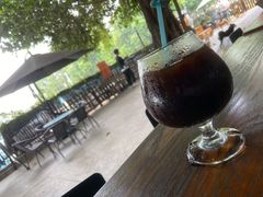 -柴犬高等学院·狗咖·柴犬售卖·宠物训练