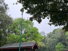 -望江楼公园