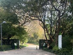-西湖风景区-江洋畈生态公园