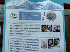 -青藏高原野生动物园