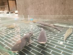 -江滨九号.中餐厅(滨江店)