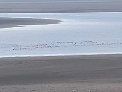 -鄱阳湖国家湿地公园