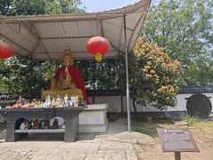 -上海佘山国家森林公园天马山园